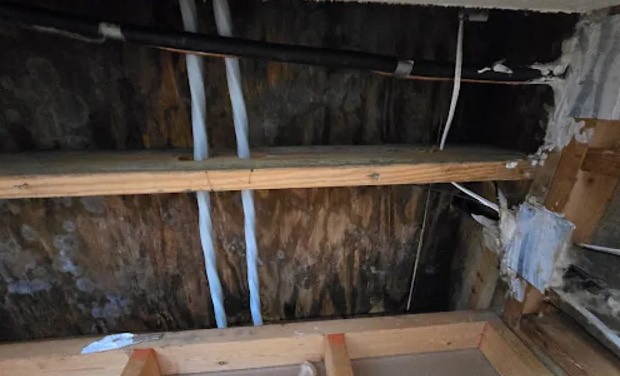 Attic Water Damage Restoration in Riesel, TX