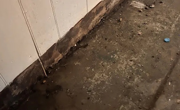 Sewage Cleanup & Disinfection in Lorena, TX